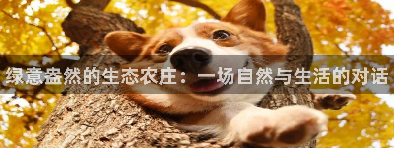 pg电子麒麟送宝爆分