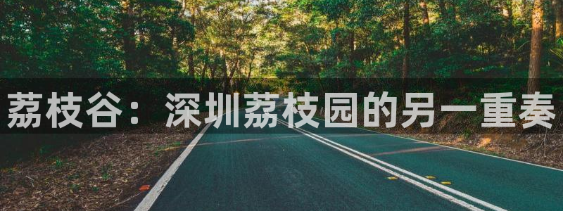 pg电子哪里玩破解版