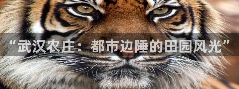 pg电子游戏爆分