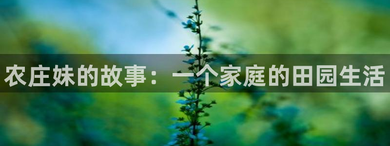 pg官方电子平台