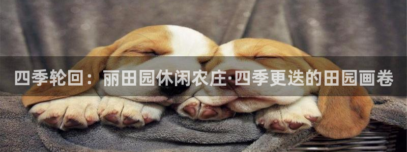 pg电子白天玩还是晚上