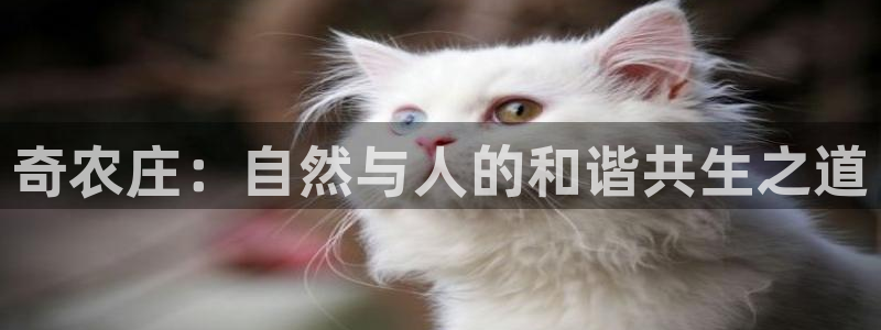 好玩的pg电子平台