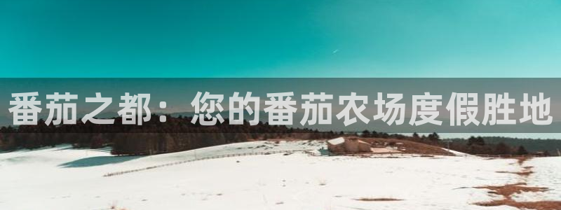 麻将胡了pg电子网站