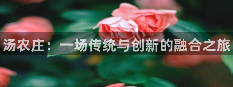 pg电子澳门豪门爆分