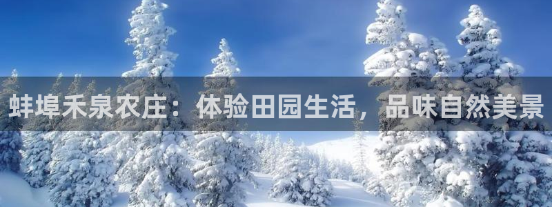 pg电子游艺凤凰传奇