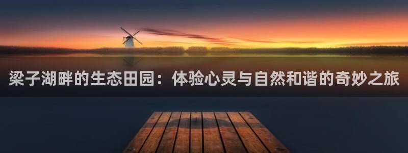 PG电子游戏你输了多少