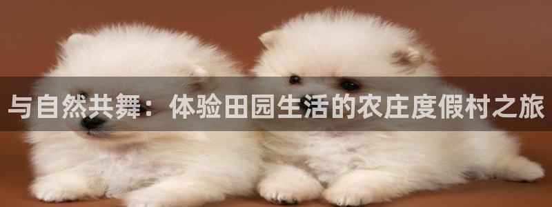 pg电子棋牌网站大全