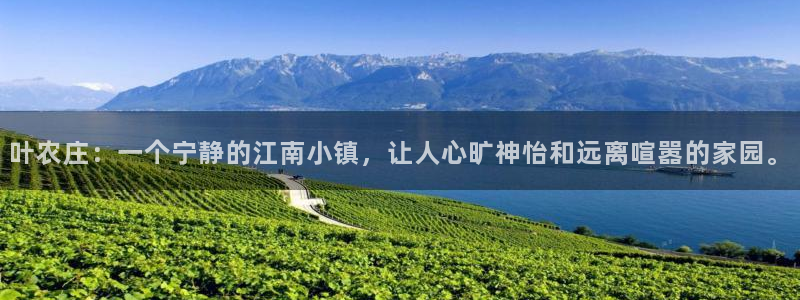 pg电子招财喵爆分照片