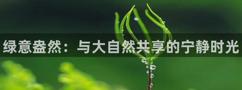 pg电子棋牌爆发视频