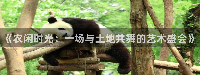 Pg电子不限区域平台