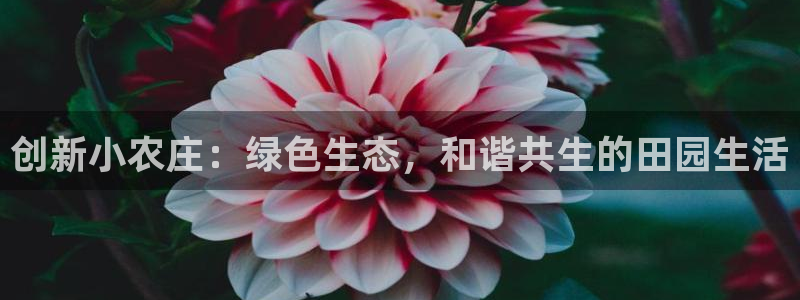 pg电子游艺哪个平台可以玩