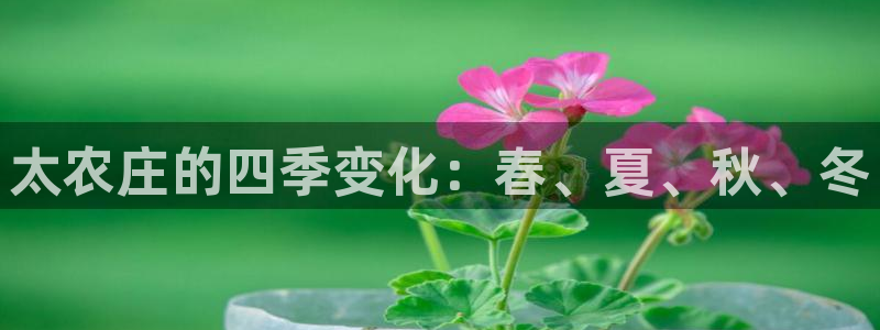 电子pg麻将胡了技巧