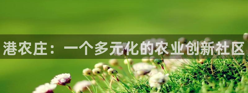 电子pg游戏怎么玩