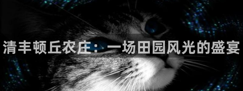 pg电子赏金船长技巧