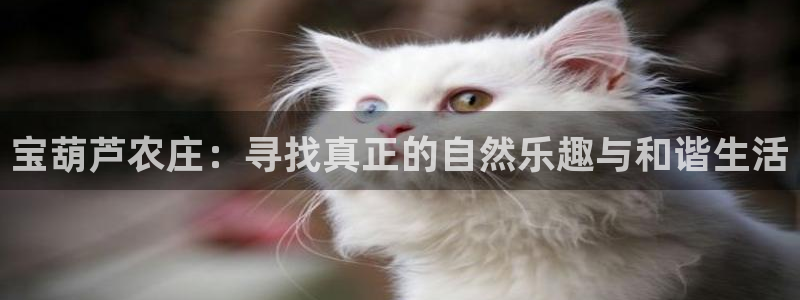 pg电子最大爆分