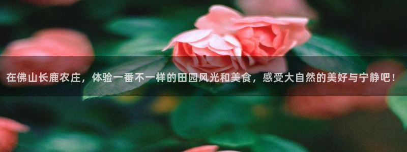 pg电子2000试玩金