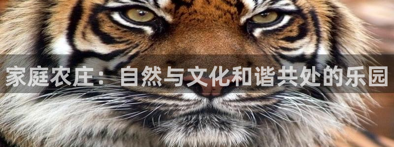 pg电子娱乐官网版