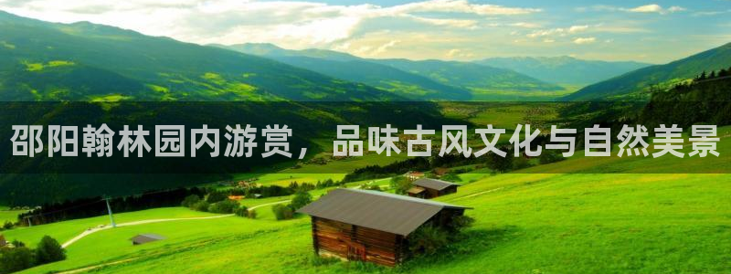 pg电子助单是什么